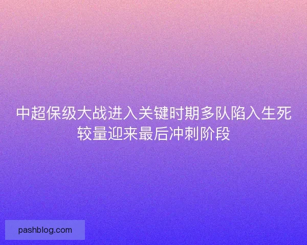中超保级大战进入关键时期多队陷入生死较量迎来最后冲刺阶段